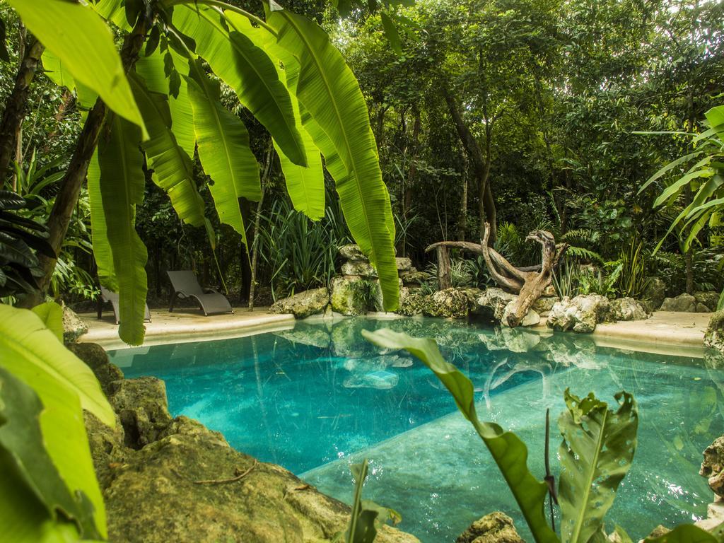 Отель La Hacienda Cancun- El Ramonal, Monkey Sanctuary Экстерьер фото